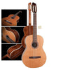La Patrie Concert Q1T Konzertgitarre